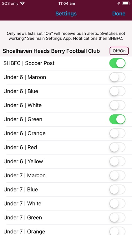Shoalhaven Heads Berry FC