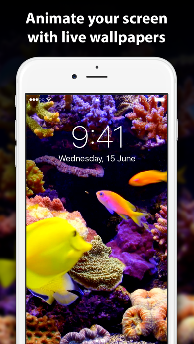 Live Wallpaper: 4k Backgrounds at App Store downloads and cost estimates  and app analyse by AppStorio
