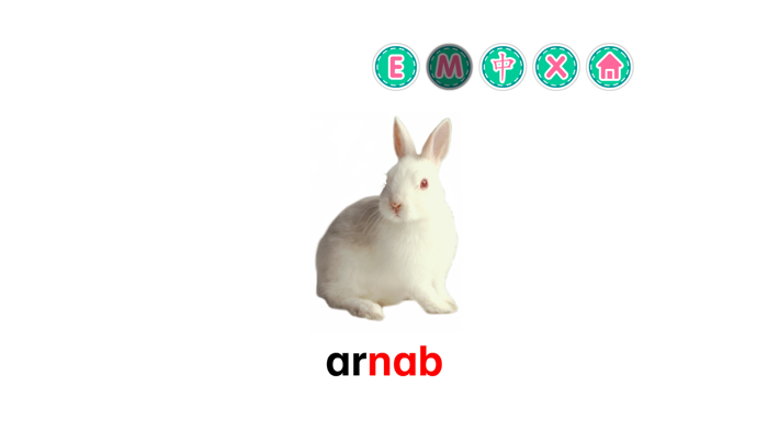 Picture Dictionary - Animals