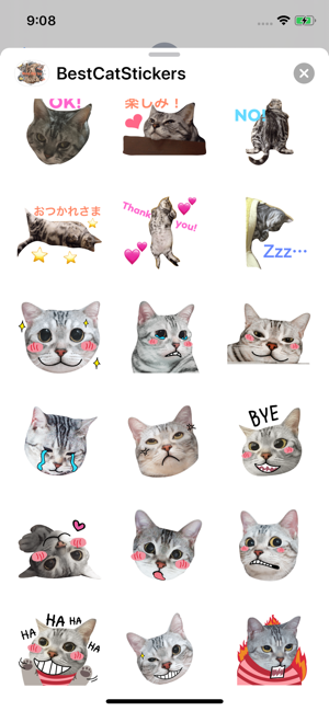 Best Cats Stickers & Emojis(圖2)-速報App