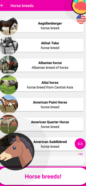 Horse Quiz Game 2019(圖2)-速報App