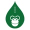 Download the Green Gorilla app and earn Gorilla Points and place orders for collection from our store