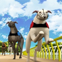 Simple Greyhound Racing sur PC