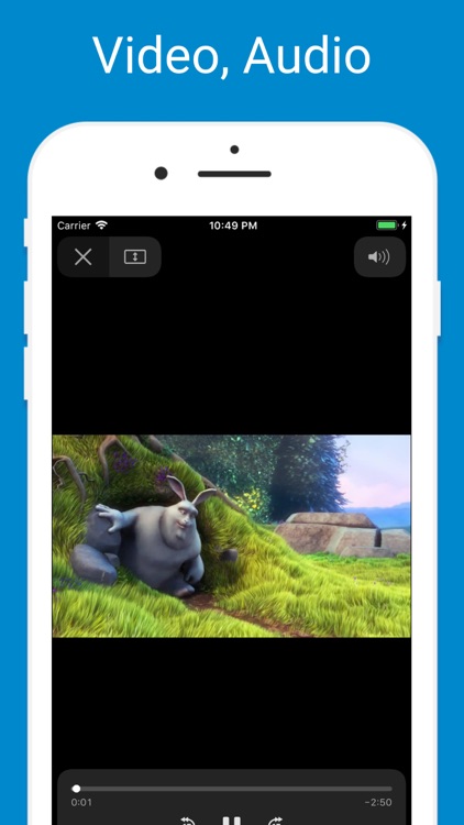 Browser & Offline File Storage screenshot-3