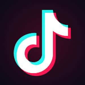 TikTok - Make Your Day download
