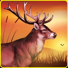 Activities of Deer Sniper Hunting Games 2019