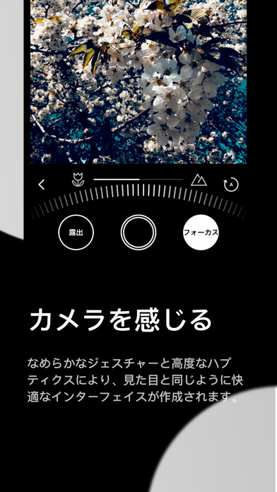 Obscura Cameraのおすすめ画像3