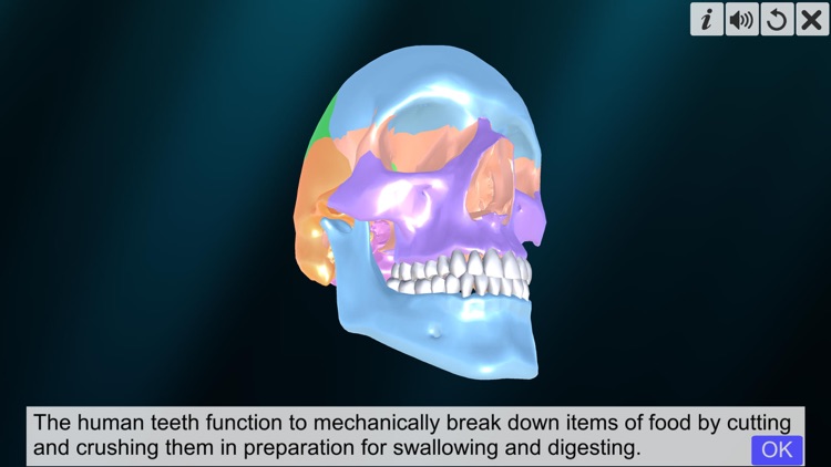 Incredible Human Teeth screenshot-0