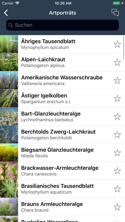 Tauchen-App Wasserpflanzen