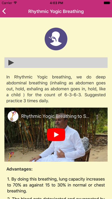 How to cancel & delete YPV Sadhana - English from iphone & ipad 3