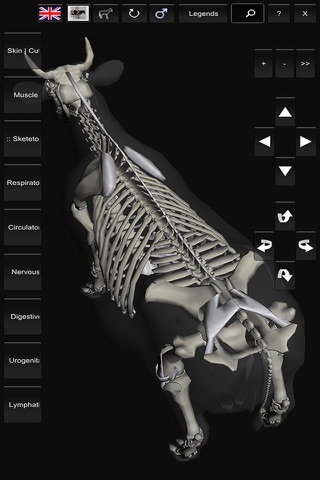 3D Bovine Anatomy screenshot 2