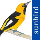 Top 42 Reference Apps Like All Birds Ecuador field guide - Best Alternatives