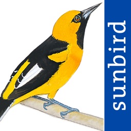 All Birds Ecuador field guide