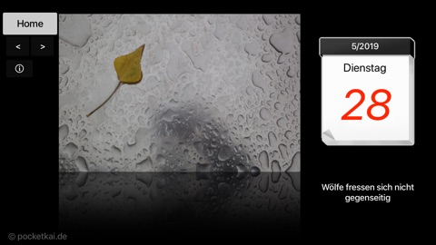 Screenshot #2 for Spruch des Tages für TV