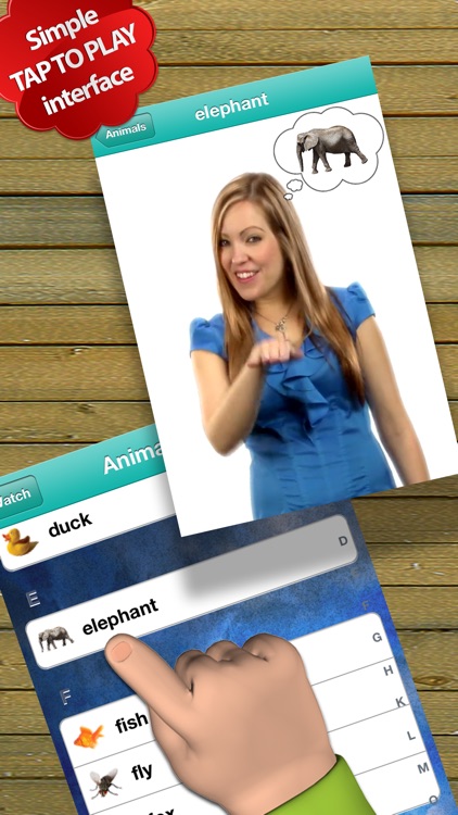 Baby Sign Dictionary ASL screenshot-3