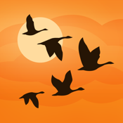 Birds Near Me - Birding Fieldguide icon