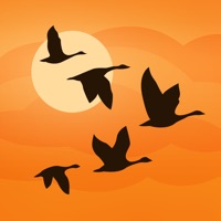 Birds Near Me app not working? crashes or has problems?