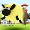 Sheep football is a very addictive game