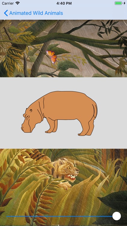 Animated Wild Animals screenshot-9