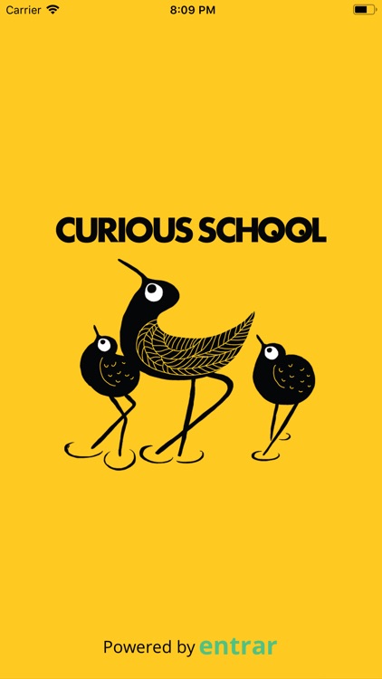 Curious School