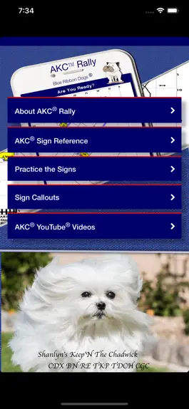 Game screenshot Pocket Rally Dog Obedience mod apk