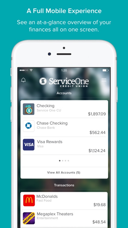 Service One Money Manager