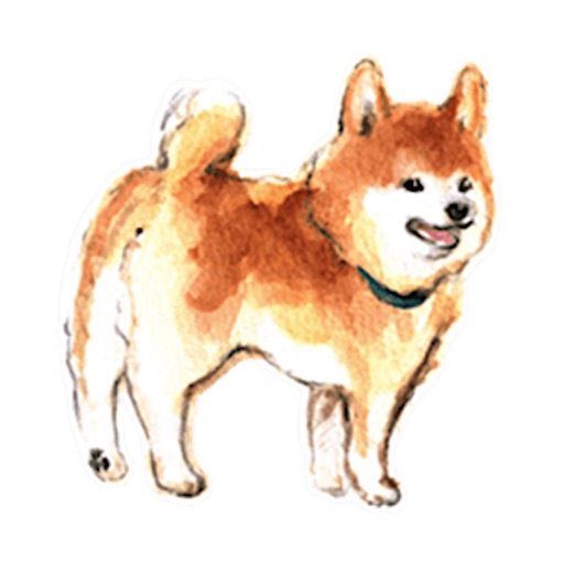 Watercolor Shiba Inu Dog Icon iOS App