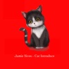 Jamie Sives - Cat Introduce