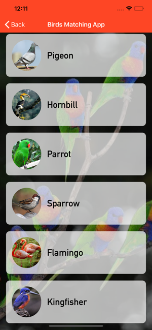 Birds Matching App(圖3)-速報App