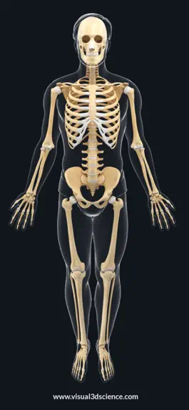 Game screenshot AR Skeleton Anatomy mod apk