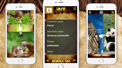 Animals 360 Gold screenshot 4