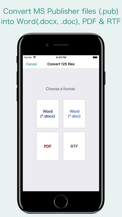 PUB Converter