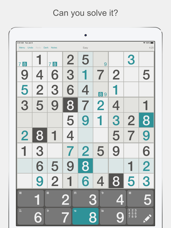 Sudoku ″ на iPad