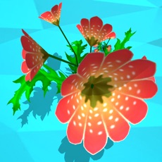 Activities of AR Flower
