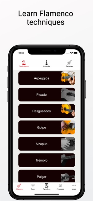 Learn Flamenco Guitar(圖1)-速報App