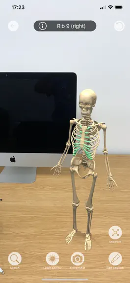 Game screenshot AR Anatomy: Skeleton hack