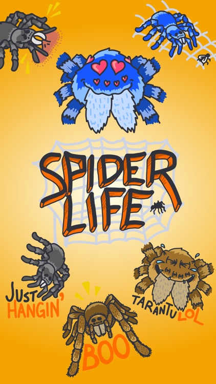 That Spider Life