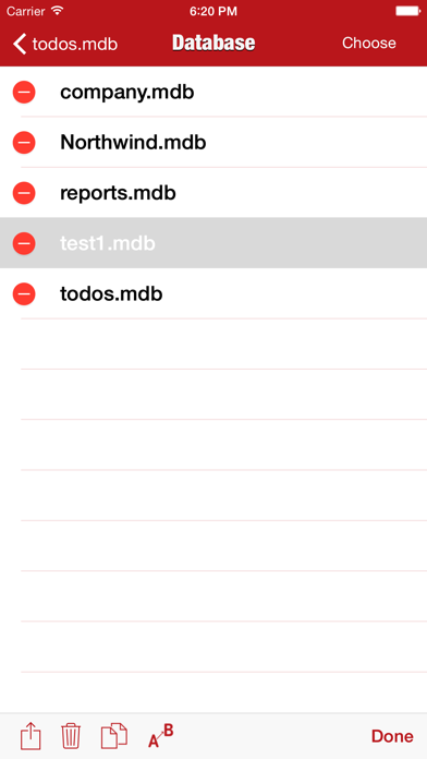 Access Database Manager Screenshot 5