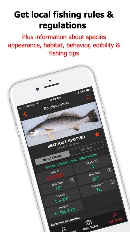 FishVerify: Florida Fish ID
