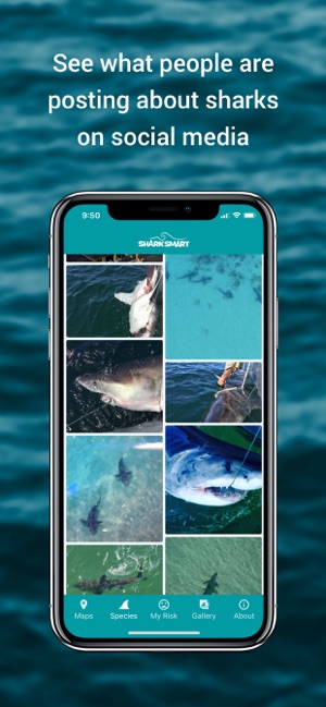 SharkSmart(圖5)-速報App