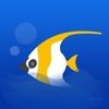 Icon iMyFish--Focus Keeper