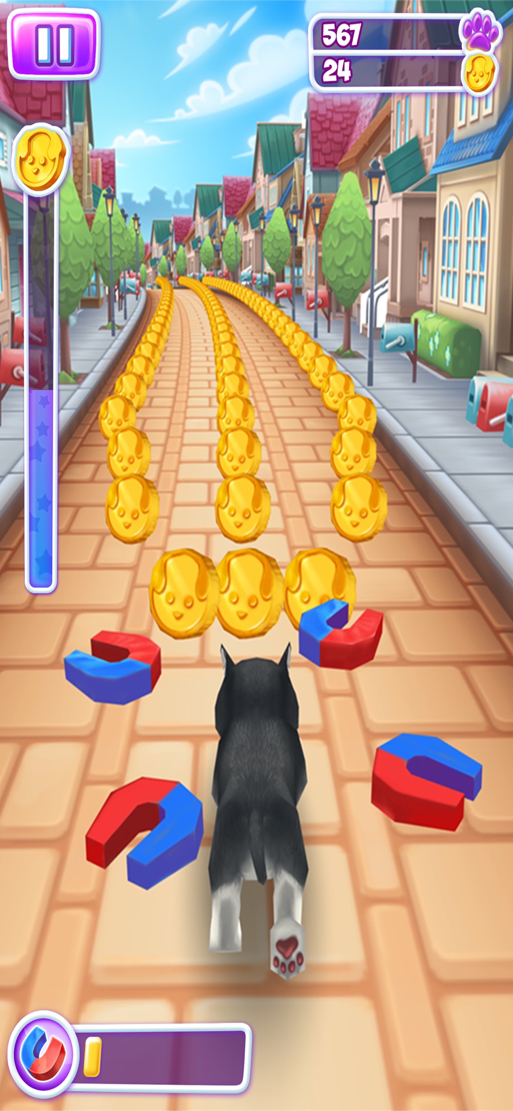 Pet Run Cheat Codes