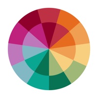 A Color Story: Photo + Video Reviews
