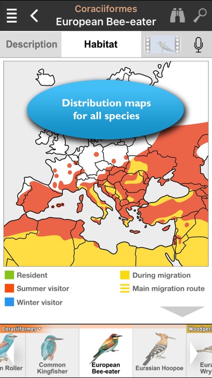 Birds of Europe Guide