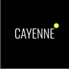 Cayenne Clothing - Men's Style bicycle clothing for men 