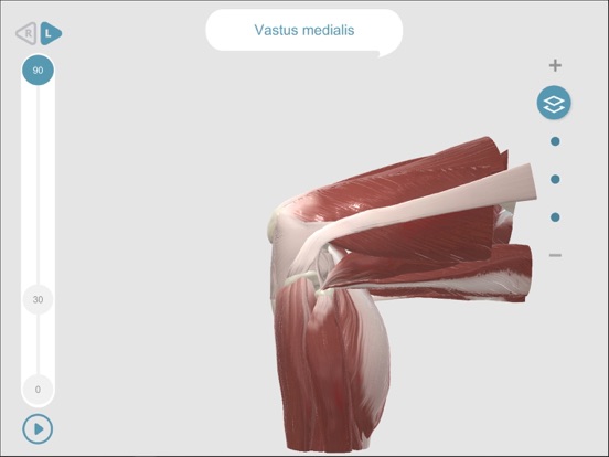 Screenshot #5 pour Dynamic Knee Anatomy