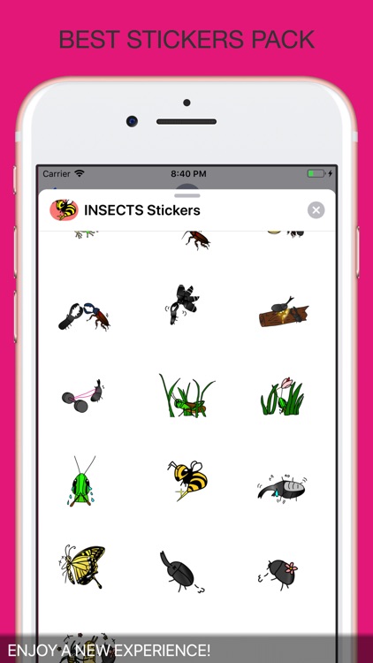 INSECTS Animal Stickers screenshot-3