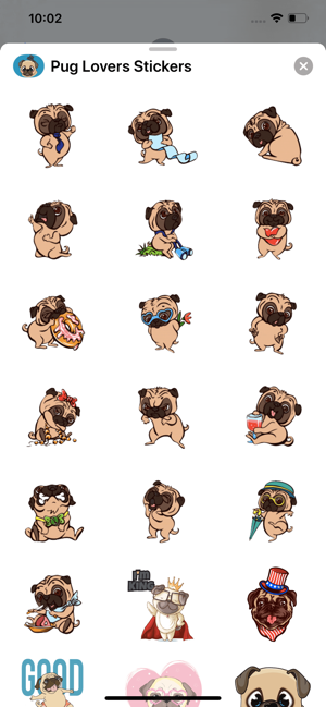 Pug Lovers Stickers(圖3)-速報App