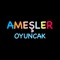 Ameşler Group için hazırlanmış özel mobil uygulamadır