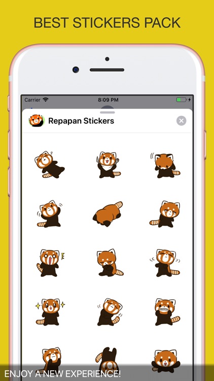 Repapan Stickers